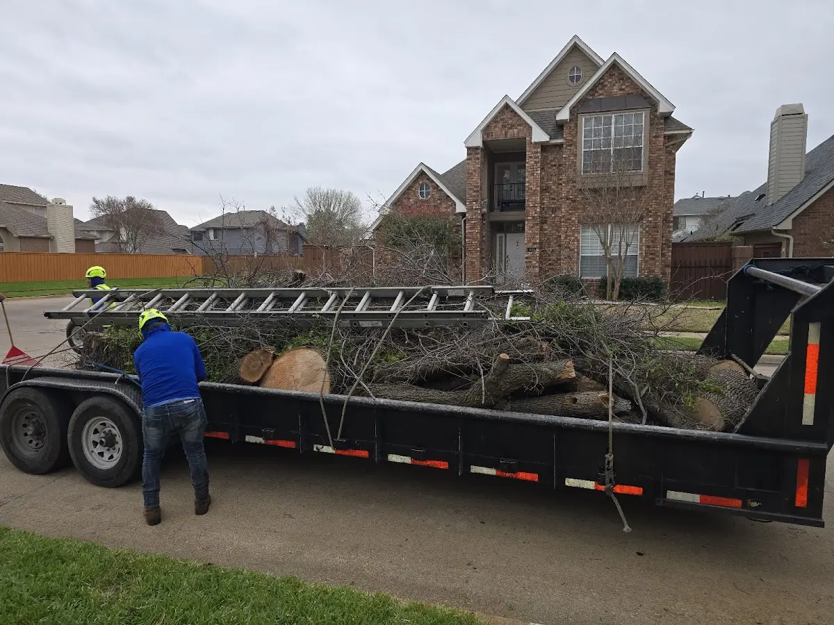 Expert Tree Pest Control with proper safety equipment in Nett Lake